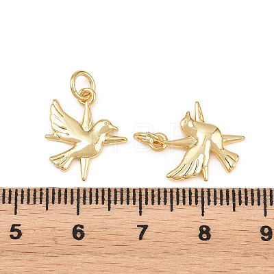 Brass Pendants KK-L275-58G-01-1