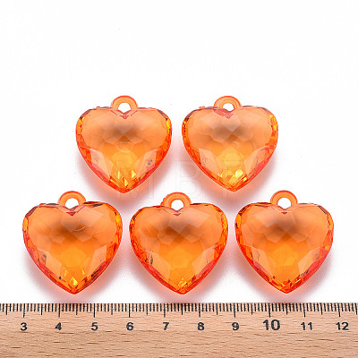 Transparent Acrylic Pendants TACR-T024-03B-921-1