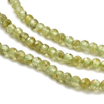 Natural Peridot Beads Strands G-B107-A06-01-1