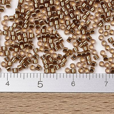 MIYUKI Delica Beads SEED-JP0008-DB2524-1