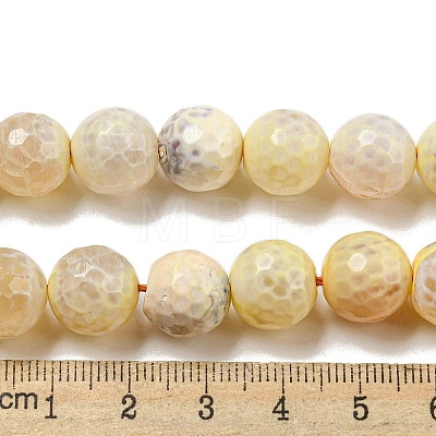 Faceted Natural Fire Crackle Agate Beads Strands G-F447-12mm-H02-1