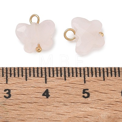 Natural Mixed Stone Pendants KK-D289-61G-1