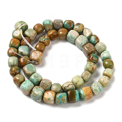 Natural Turquoise Beads Strands G-P506-06A-1