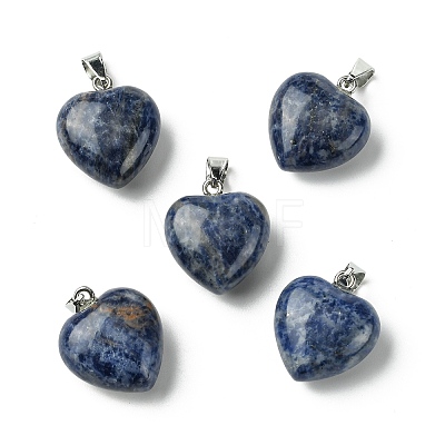 Natural Sodalite Pendants G-F820-10A-02-1