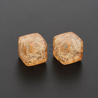 Transparent Crackle Acrylic Beads CACR-S010-05-1