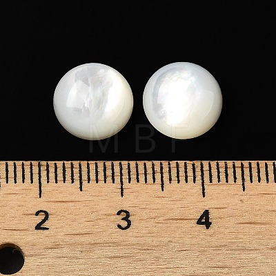 Natural White Shell Cabochons SSHEL-M022-01C-1