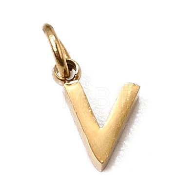 304 Stainless Steel Charms SA-CBABF3F-01G-V-1