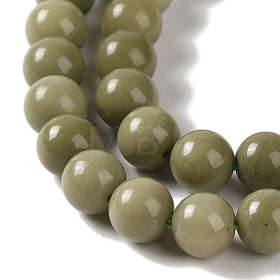 Natural Alashan Agate Beads Strands G-P530-B05-02-1