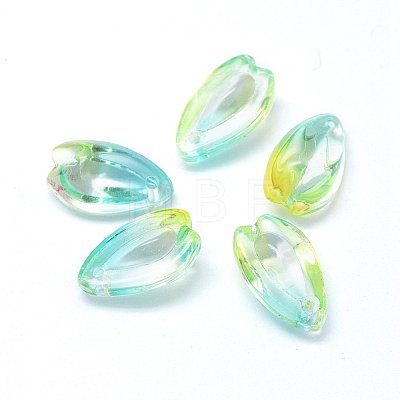 Transparent Glass Charms GLAA-H016-12L-6-1