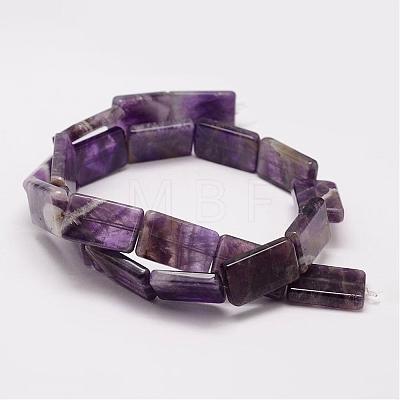 Natural Amethyst Beads Strands G-K153-M05-1