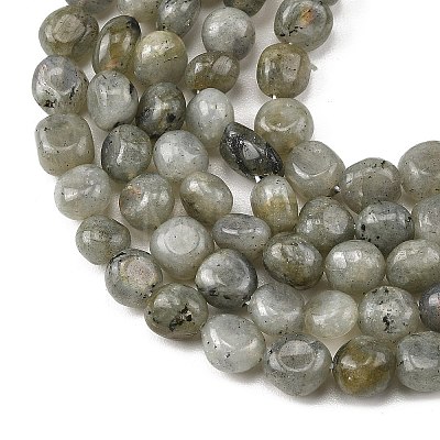 Natural Labradorite Beads Strands G-P623-A03-02-1