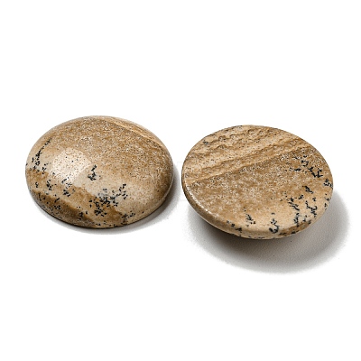 Natural Picture Jasper Cabochons G-C115-02B-22-1