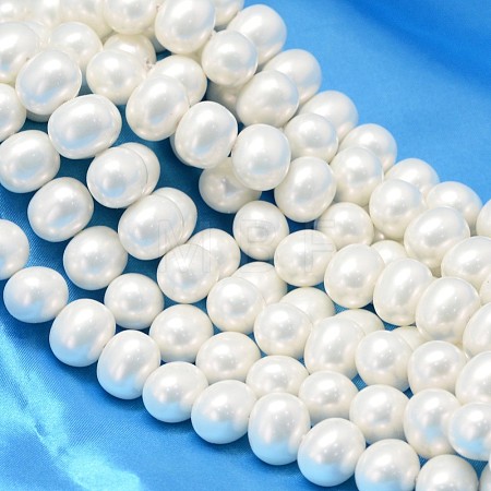 Oval Shell Pearl Bead Strands BSHE-L013-L-A013A-1