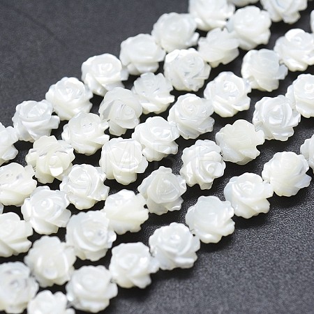 Natural White Shell Beads Strands SSHEL-P015-01A-6mm-1