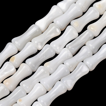 Natural Freshwater Shell Beads Strands SH-CBA2978-13-1
