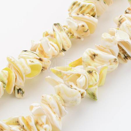 Natural Shell Bead Strands BSHE-P010-02-1
