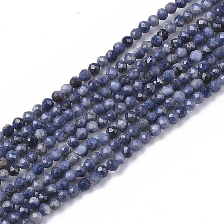 Natural Sapphire Beads Strands X-G-S361-2mm-009-1
