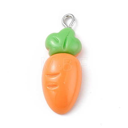 Opaque Resin Pendants X-RESI-D064-02P-13-1