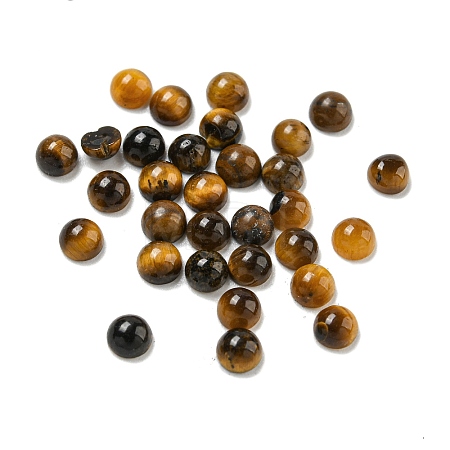 Natural Tiger Eye Cabochons G-Q173-01A-13-1