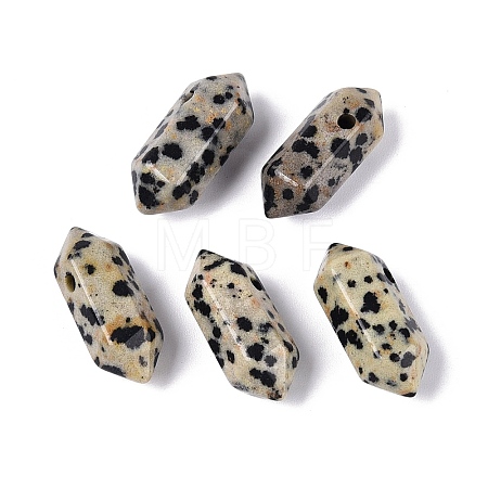 Natural Dalmatian Jasper Pendants G-Q601-27B-1