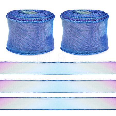 2 Rolls Polyester Mesh Ribbons SRIB-TA0003-42A-1