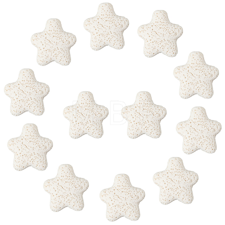 24Pcs Star Synthetic Lava Rock Beads G-PA0002-25B-1