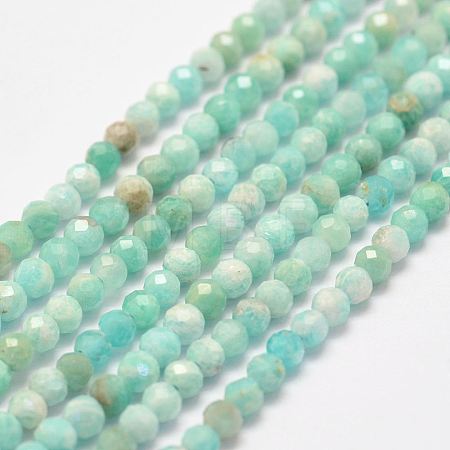 Natural Amazonite Bead Strands X-G-P279-42-3mm-1
