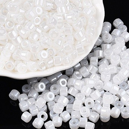 Glass Seed Beads SEED-T008-01A-1