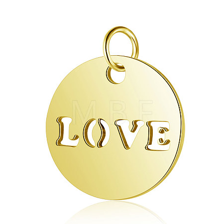 304 Stainless Steel Charms STAS-S105-T520G-1