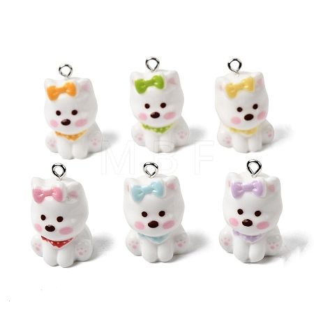 Opaque Resin Pendants RESI-P051-02P-M-1