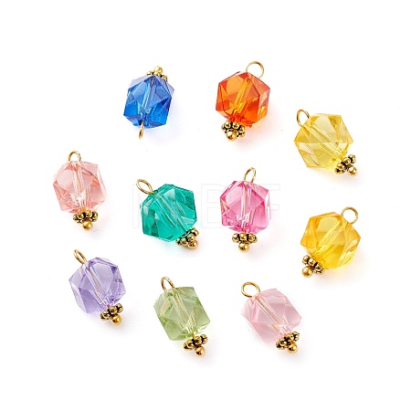 Transparent Acrylic Pendants PALLOY-JF00752-1