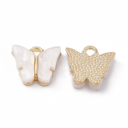 Acrylic Charms MACR-C012-01KCG-07-1