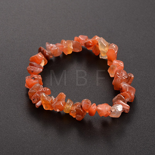 Chips Natural Carnelian Beaded Stretch Bracelets X-BJEW-JB01826-04-1