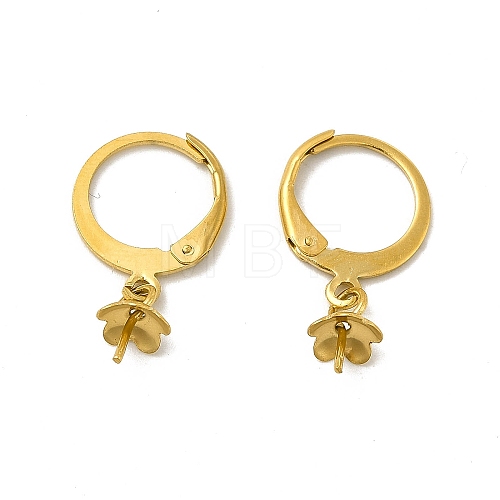 304 Stainless Steel Leverback Earring Findings STAS-P319-20G-1