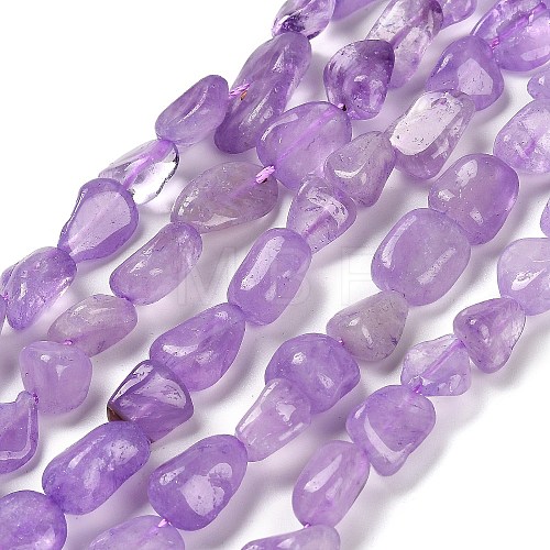 Natural Amethyst Beads Strands G-P497-01E-22-1