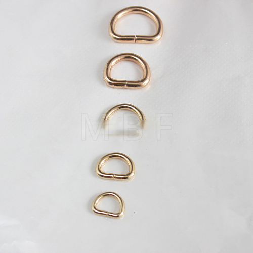 Iron D Ring PURS-PW0001-400J-LG-1