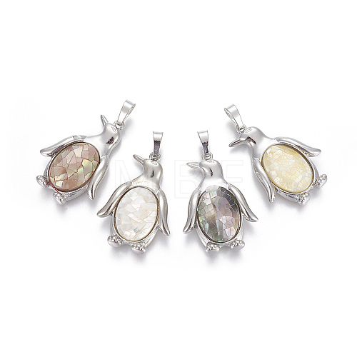 Shell Pendants SHEL-L009-A-1