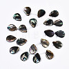 Natural Paua Shell/Abalone Shell Beads Strands SSHEL-Q312-001-2