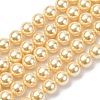 Electroplated Shell Pearl Beads Strands BSHE-G041-6mm-01-1