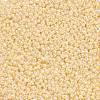 Glass Seed Beads SEED-XCP0001-01-2