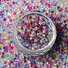 8/0 Glass Seed Beads SEED-R051-01A-2