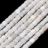 Natural Freshwater Shell Beads Strands SH-CBA2978-21C-1
