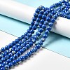Synthetic Turquoise and Sea Shell Assembled Beads Strands G-D482-01E-03-1