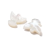 Natural Shell Beads BSHE-H017-02-3