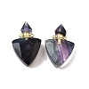Natural Fluorite Perfume Bottle Pendants G-L623-10G-03-1