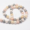Shell Pearl Bead Strands LS-BSHE-L017-17-4