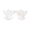 Natural Freshwater Shell Beads BSHE-T014-35-3