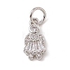 Brass Micro Pave Cubic Zirconia Charms ZIRC-F132-07P-1