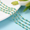 3.28 Feet Handmade Glass Beaded Chains X-CHC-F008-B06-4