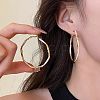 Alloy Enamel Hoop Earrings FS-WG76269-02-2